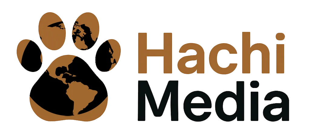 HachiMedia
